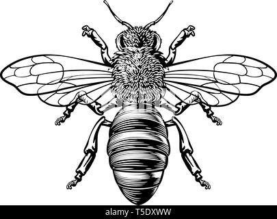 Drawing of bumblebee - hand sketch of insect, black and white ...