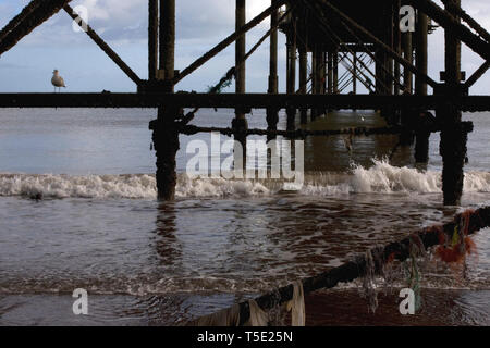 Underneath the pier at low tide, Teignmouth, Devon, UK Stock Photo