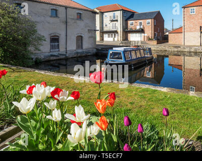 Ripon Canal Basin in Spring in the City of Ripon North Yorkshire England Stock Photo