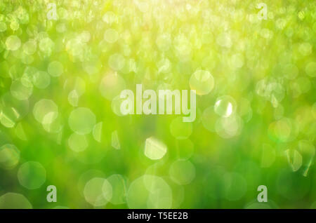 Green bokeh background. Element of design. Stock Photo