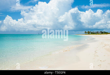 Tropical background beach scene long white expansive beach, turquoise sea and towering white clouds in Turks and Caicos Islands. Stock Photo