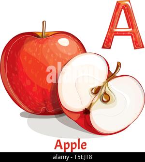 Vector alphabet letter A. Apple Stock Vector