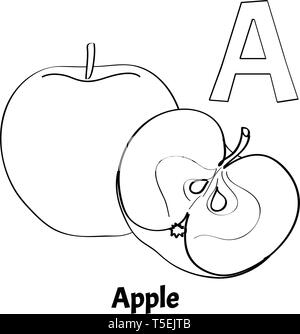 Vector alphabet letter A, coloring page. Apple Stock Vector