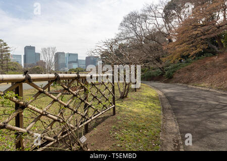 When you decide to visit the Imperial Palace in Tokyo be ready to see only the outside gardens. There is no option to see inside the palace. Stock Photo