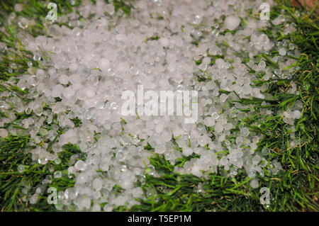 Hail rocks on the (synthetic) lawn. Photographed in Haifa, Israel in March Stock Photo
