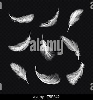 Set of isolated white bird feather on transparent Stock Vector