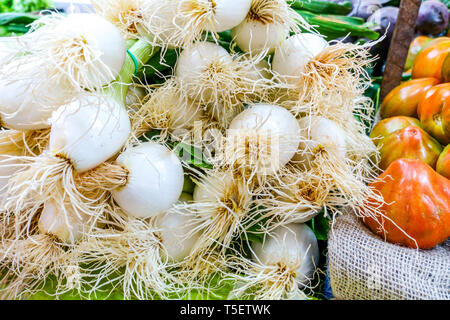 Fresh white onions with long roots and ripe tomatoes on display at a farmers market in Valencia, Spain Stock Photo