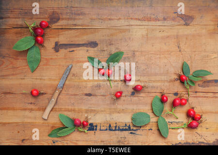 Roseships and kitchen knife on wood Stock Photo