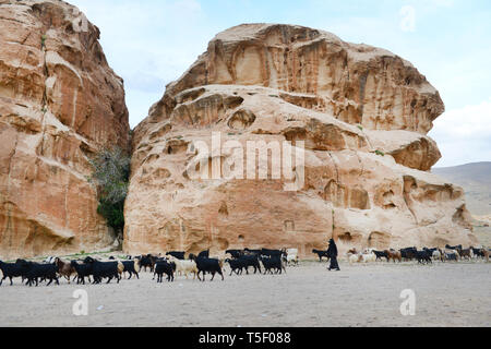 A Bedouin woman herding her goats near Little Petra in Jordan. Stock Photo