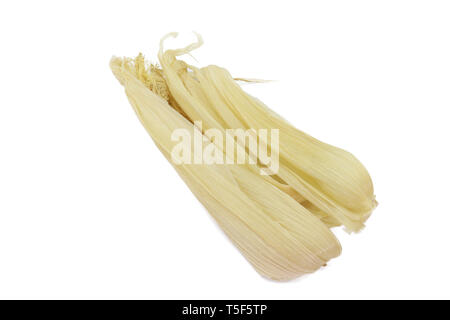 peel of corn isolated on white background. High resolution  Textures gallery. High resolution image gallery. Stock Photo