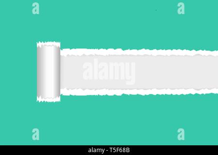 Paper torn open green color vector copy space. Stock Vector