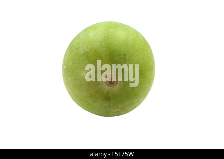 Fresh Winter melon fruit isolated on white background. High resolution image gallery. Stock Photo