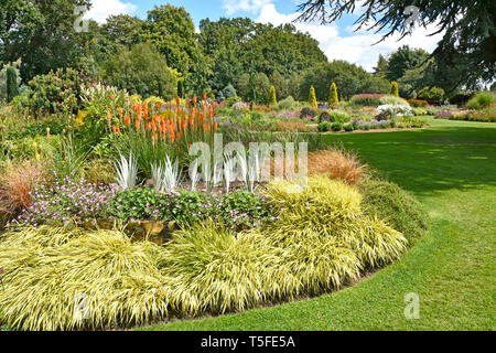 Summer view Alan Bloom formal English country flower garden set in lawns with plants trees & conifers  Bressingham Diss Norfolk East Anglia England UK Stock Photo