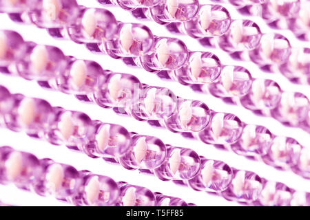 Straight rows of LEDs in the panel close-up macro. Purple pink neon glow Stock Photo