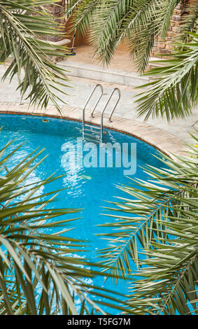 Swimming pools surrounded by palm trees and lush evergreen in a tropical plants garden Stock Photo