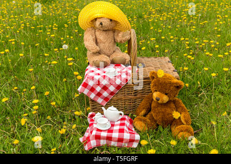 Teddy Bear's Picnic in lush green meadow with yellow flowers.  Traditional wicker basket and red gingham tablecloth.  Horizontal.  Concept: Childhood Stock Photo