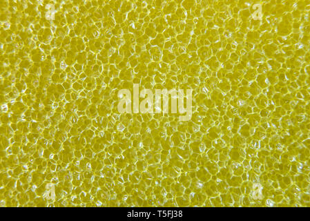 Yellow sponge macro close-up rough texture Stock Photo