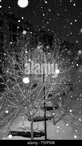 snowing, snowflakes falling during the night on the tree, on the cars and on the street, everything is covered with snow Stock Photo