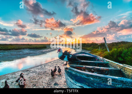 Dramatic sunset with boats and ducks in the natural park Salinas de Carboneros, in Chiclana de la Frontera, a tourist city in the province of Cadiz, S Stock Photo