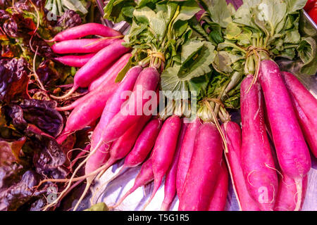 Bunch of red radishes roots on the vegetable market, Spain Radish roots bundle Stock Photo