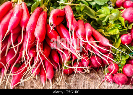Bunch of red radishes roots on the market, Spain radish roots plants Stock Photo
