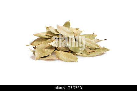 Dried bay leaves pile isolated on white. Laurel leaves heap. Stock Photo