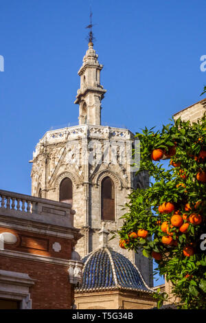 El Miguelet Tower, Valencia Cathedral Tower, Spain Valencia Orange tree Stock Photo