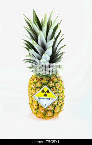 Pineapple with radioactive symbol - isolated on a white background. Stock Photo