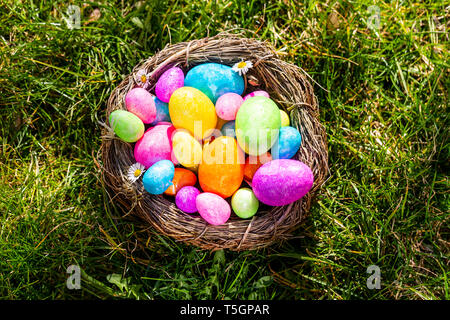 Multicolored Easter eggs in a nest on grass Stock Photo