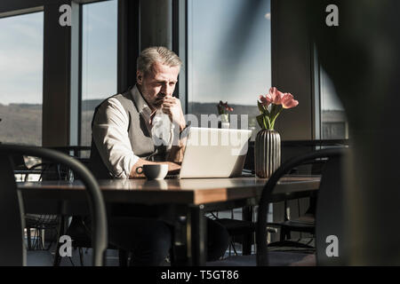 Mature businessman using laptop in office Stock Photo