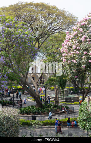 Parque Central, Antigua Guatemala Central America -  the park in the central square ( Plaza Mayor ), Antigua Guatemala Latin America Stock Photo