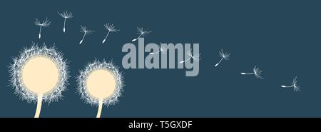 panorama two creamy dandelions with seeds dark blue background by jziprian Stock Vector