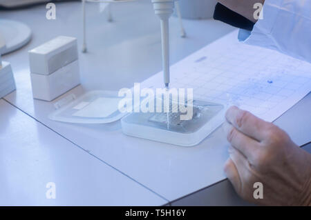 Lab technician preparing sample Stock Photo