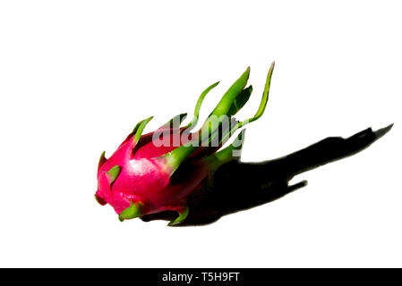Pitaya Dragon Fruit Stock Photo