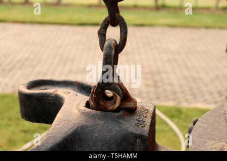Rusty Bolt Type Anchor Shackles , hook on chain ,climbing carabiner  on green garden High resolution image gallery. Stock Photo