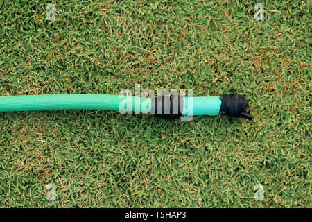a green hose lying on the grassy ground, A close up image of a