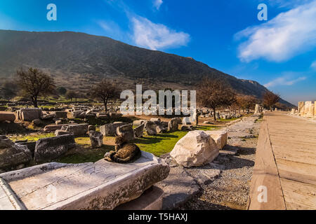 Cat basking in the sun on a marble game board (similar to backgammon) in the Agora State ruins of Ephesus Stock Photo