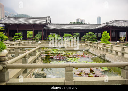 Beautiful Chinese lotus pond at Chi Lin Nunnery, a large Buddhist temple complex located in Diamond Hill, Kowloon, Hong Kong Stock Photo
