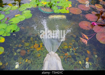 Lion fountain at lotus pond in Chi Lin Nunnery, a large Buddhist temple complex located in Diamond Hill, Kowloon, Hong Kong Stock Photo