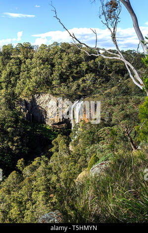 Scenic view of the lower fall at the Ebor Falls in Guy Fawkes River, northern NSW, Australia Stock Photo