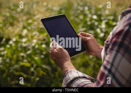Male senior farmer using digital tablet while standing in farm Stock Photo