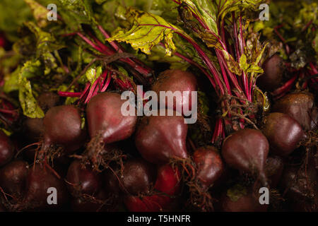 Bunch of beetroot Stock Photo