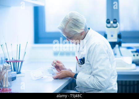 Lab technician preparing sample Stock Photo