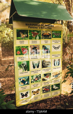 Butterfly Farm at the Gamboa Rainforest Resort, Soberania National Park, Panamá Stock Photo