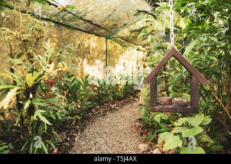 Butterfly Farm at the Gamboa Rainforest Resort, Soberania National Park, Panamá Stock Photo