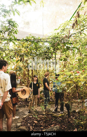 Butterfly Farm at the Gamboa Rainforest Resort, Soberania National Park, Panamá Stock Photo