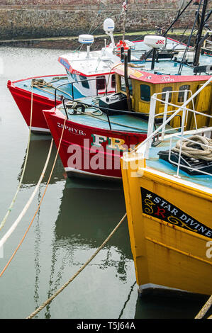 Three trawlers moored in Dunbar inner harbour on the south east coast of Scotland Stock Photo