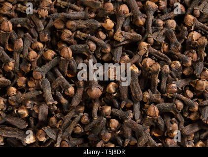 Clove background. A pile of cloves. Spice background. Stock Photo