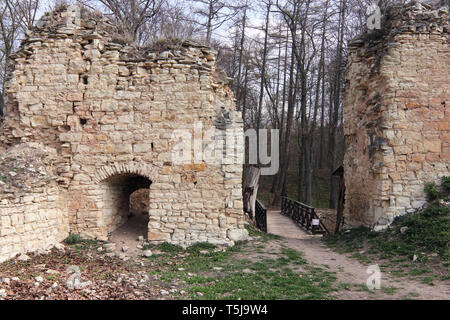 Ruina of Pravda Castle, Czech Republic Stock Photo