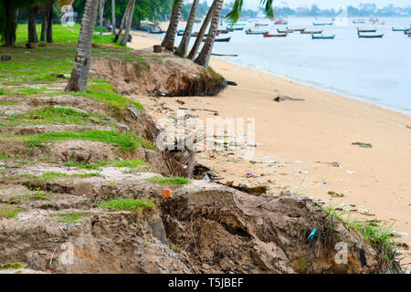 storm surge coastal waves coconut tree, concept Hazards and damage to ...